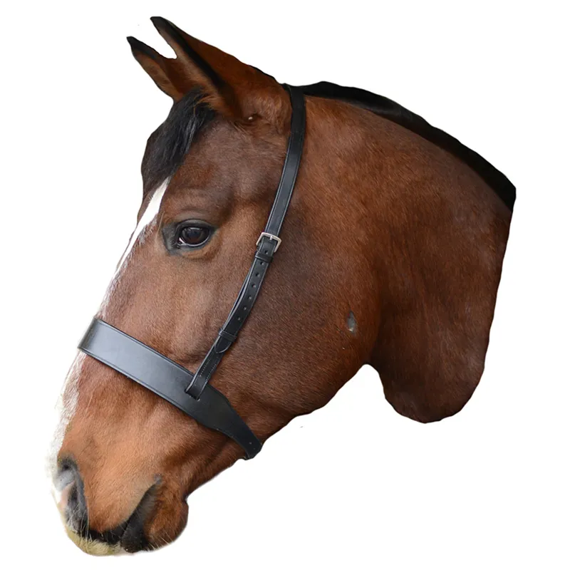 Mackey Classic Wide Flat Cavesson Noseband - Black
